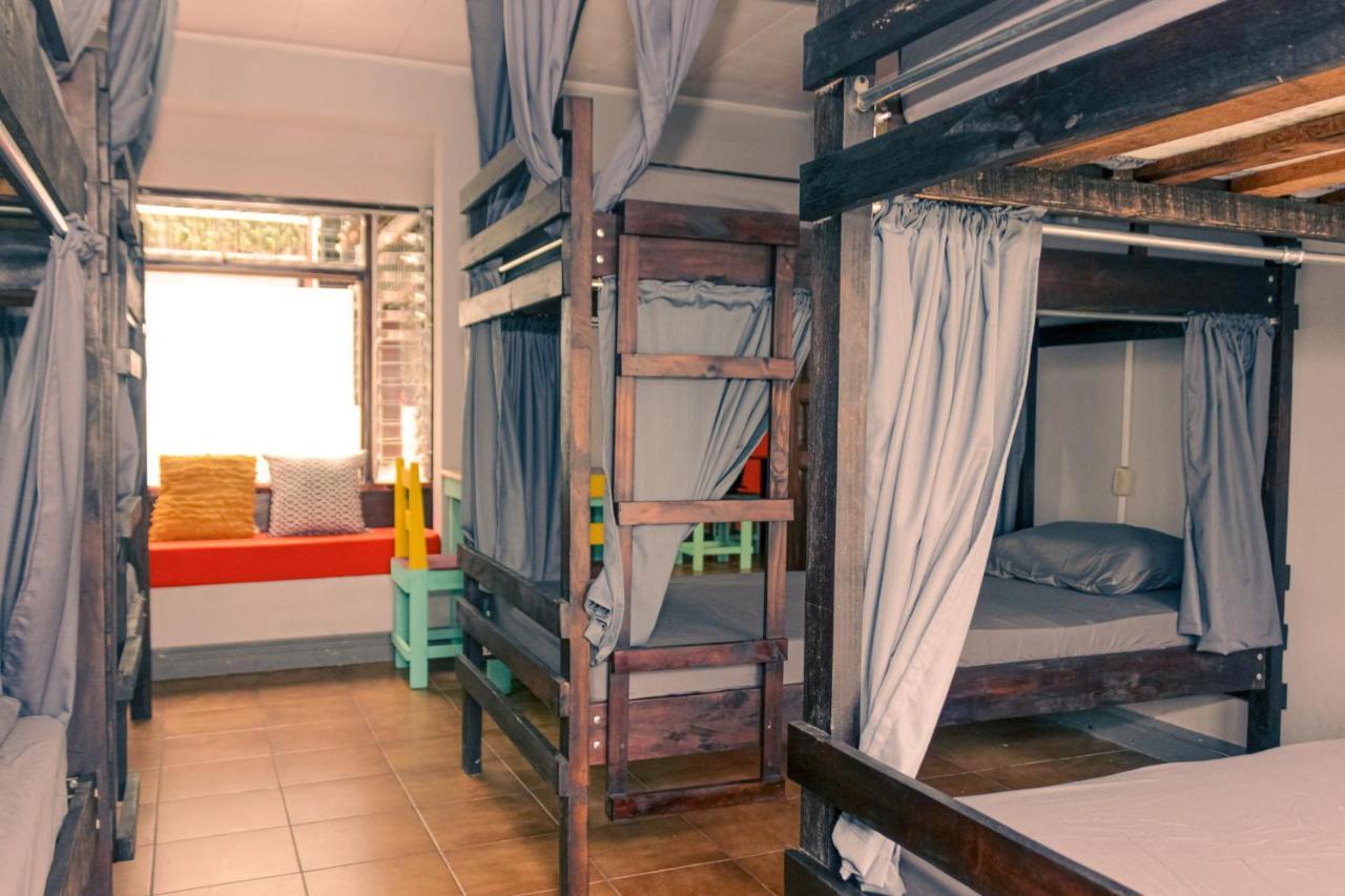 Chillout Hostel Barrio Escalante サンホセ エクステリア 写真