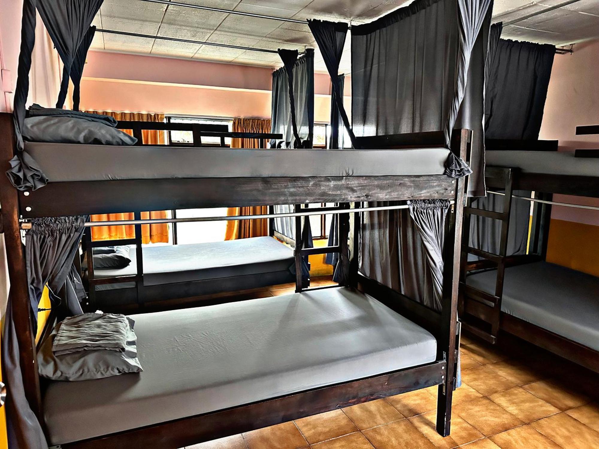 Chillout Hostel Barrio Escalante サンホセ エクステリア 写真