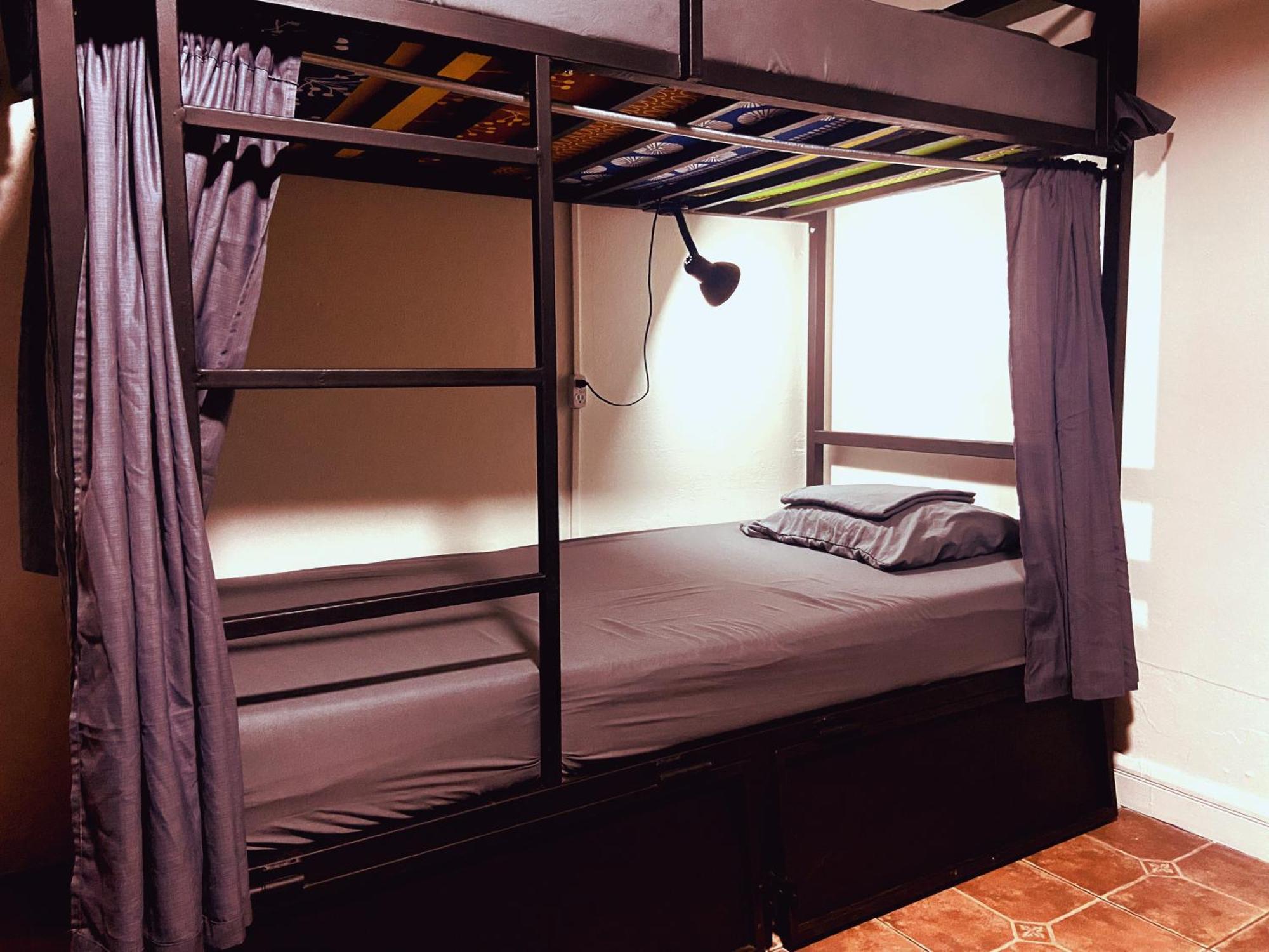 Chillout Hostel Barrio Escalante サンホセ エクステリア 写真